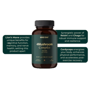 infografik 4 mushroom ekstrakt