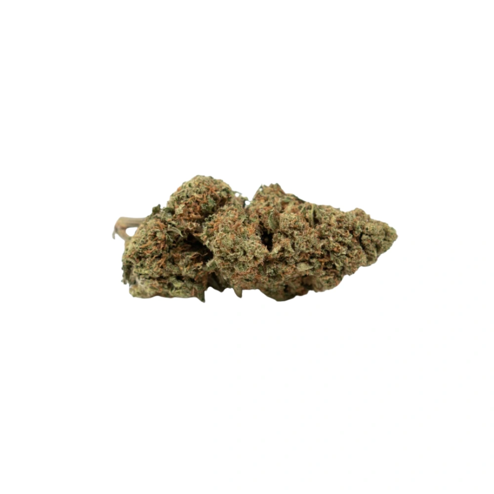 AK Muffin CBD topskud fra generalens hampa