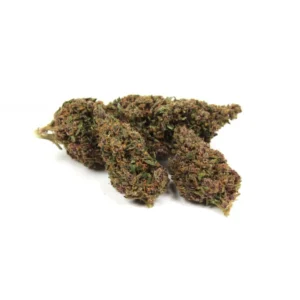 Black Zkittles – CBD Topskud 13,72 % fra Generalens Hampa