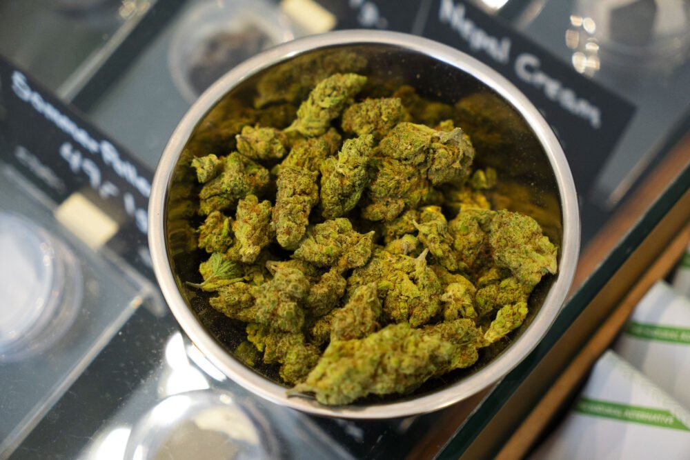 Billedet viser en skål fyldt med CBD Buds