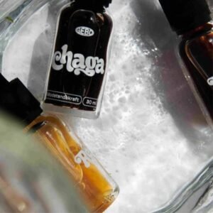 Chaga Svampeekstrakt 30ml – 20% fra Gebo