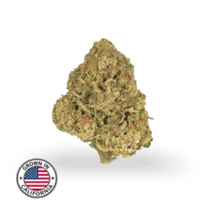 G41 THCa topskud 27 % med kompakt, resinrigt bud i grønne nuancer, orange pistiller og fin trichomedækning, dyrket i Californien.