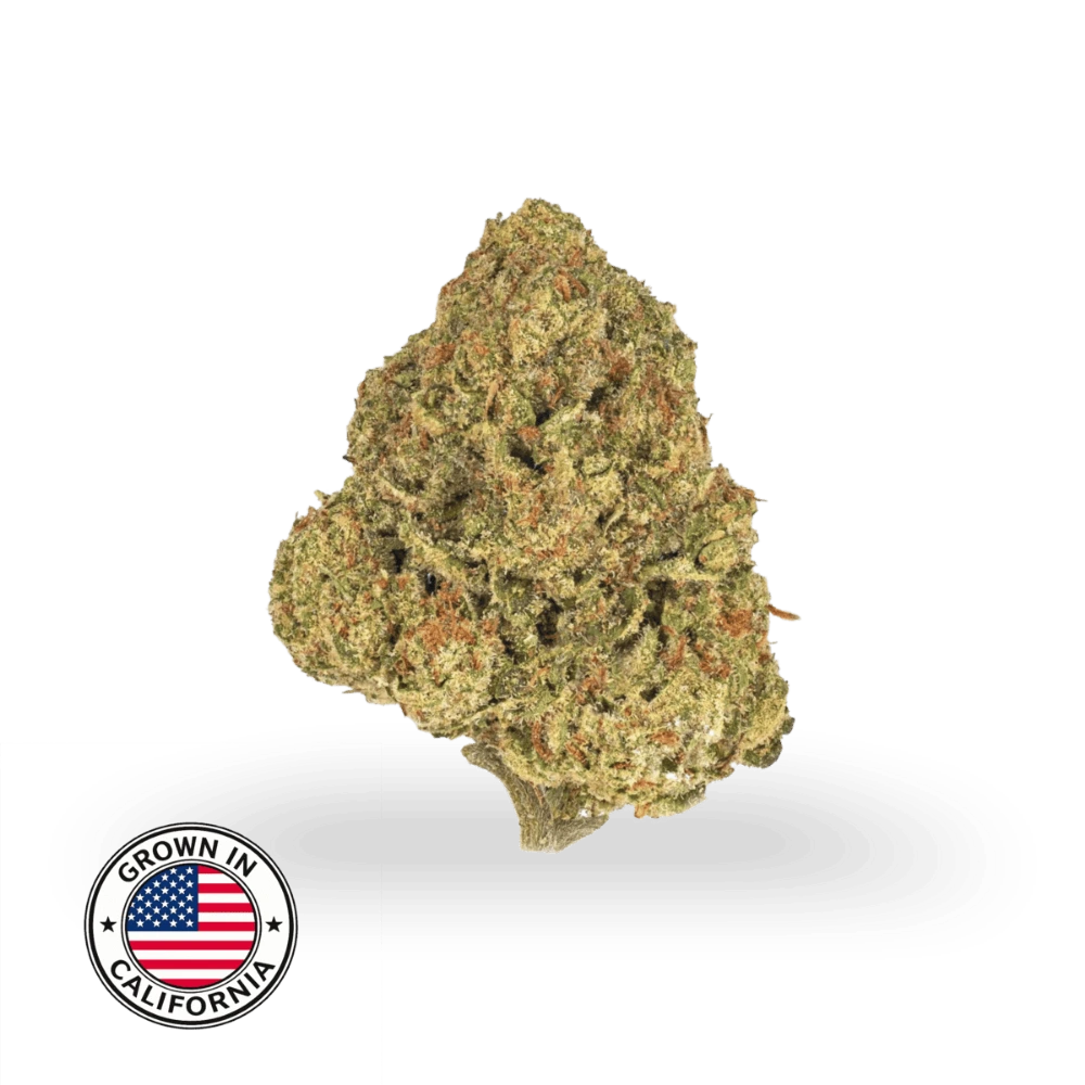 G41 THCa topskud 27 % med kompakt, resinrigt bud i grønne nuancer, orange pistiller og fin trichomedækning, dyrket i Californien.