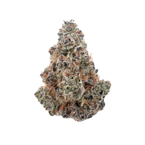 hash burger thca topskud