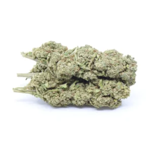 Miami Muffin THCa Topskud