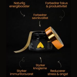 Infografi om fordelene af Shilajit kosttilskud