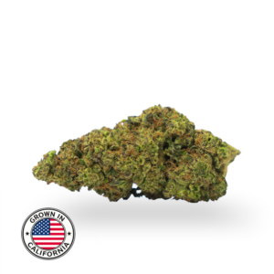 THCa Topskud - Hash Burger | 24%