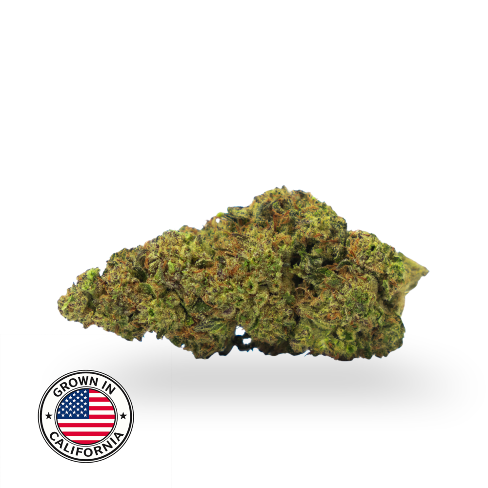 THCa Topskud - Hash Burger | 24%