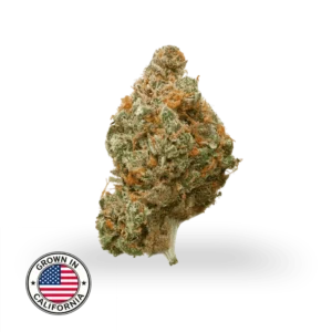 Blueberry Muffin THCa topskud med kompakt, resinrigt bud i lysegrønne nuancer, orange pistiller og tydelig trichomedækning, dyrket i Californien.