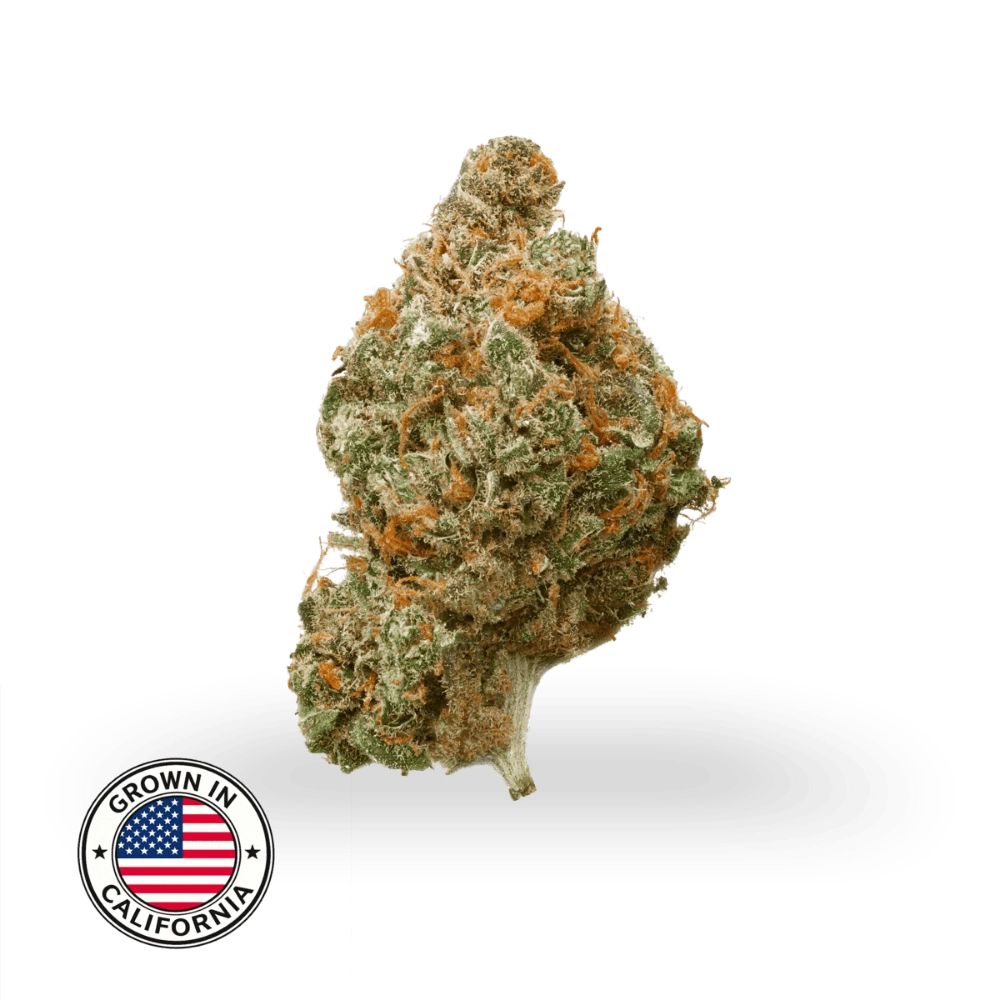 Blueberry Muffin THCa topskud med kompakt, resinrigt bud i lysegrønne nuancer, orange pistiller og tydelig trichomedækning, dyrket i Californien.