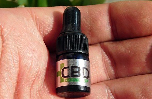 Flaske CBD-olie med etiket – CBD novel food Danmark og reglerne i 2026