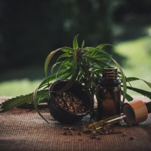 cbd öl, cbd oil, oil, cbd, superfood, cannabidiol, hemp, weed, health, hanf, cbd oil, cbd oil, cbd oil, cbd oil, cbd oil, cbd, cbd, cbd