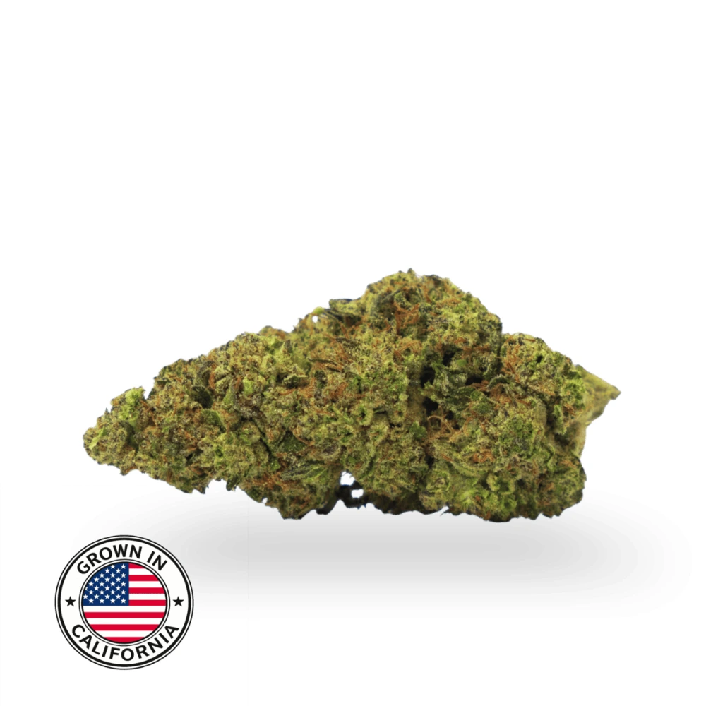 THCa topskud Hash Burger med kompakt struktur, dybgrøn farve og tydelig trichome-dækning på hvid baggrund.