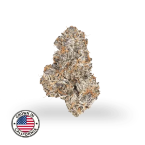 Ice Cream Cake THCa topskud med tæt, resinrigt bud, lilla-grønne nuancer, orange pistiller og kraftig trichomedækning, dyrket i Californien.