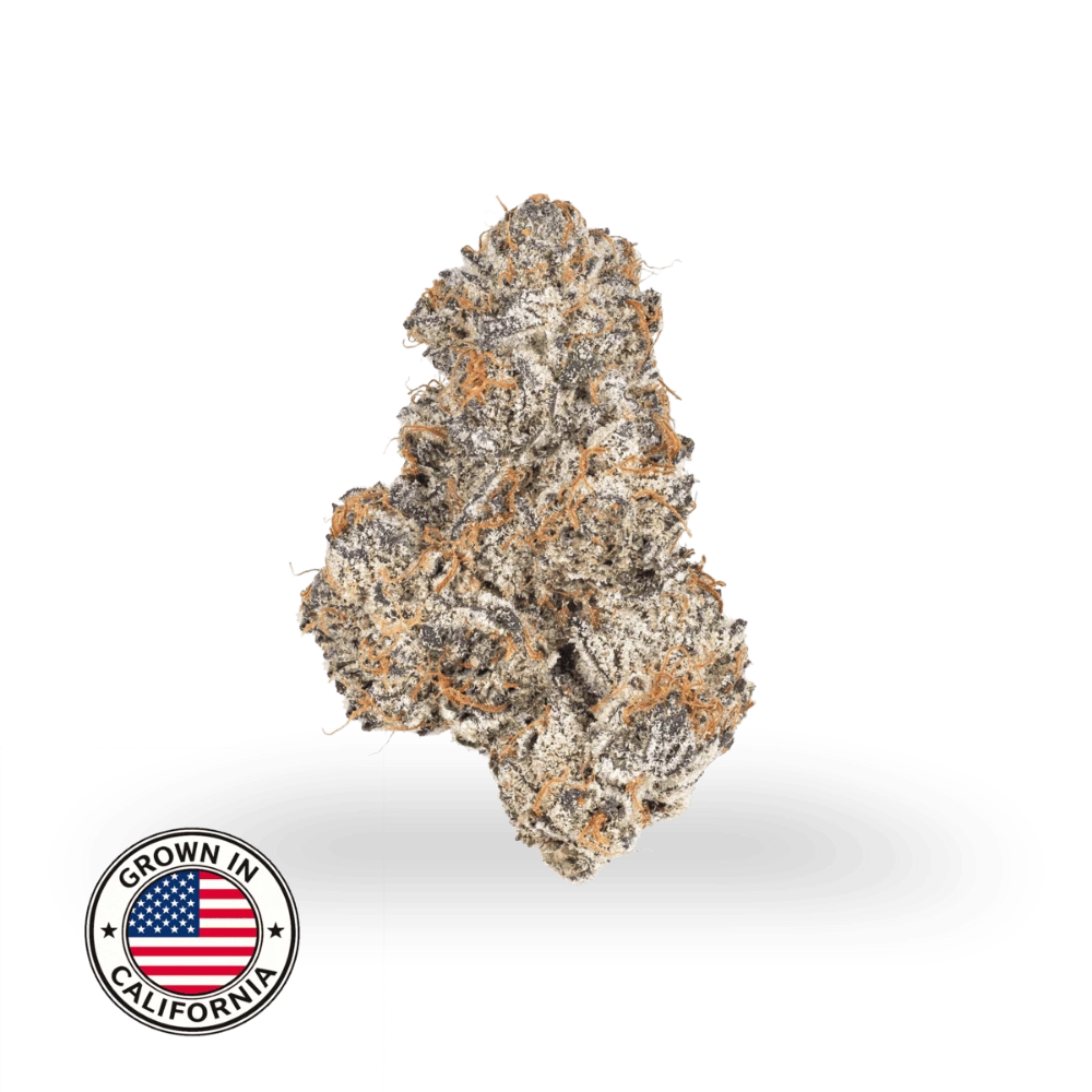 Ice Cream Cake THCa topskud med tæt, resinrigt bud, lilla-grønne nuancer, orange pistiller og kraftig trichomedækning, dyrket i Californien.