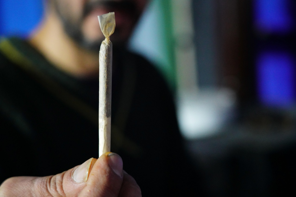 Skal jeg vælge CBD-hash eller THCA-hash?