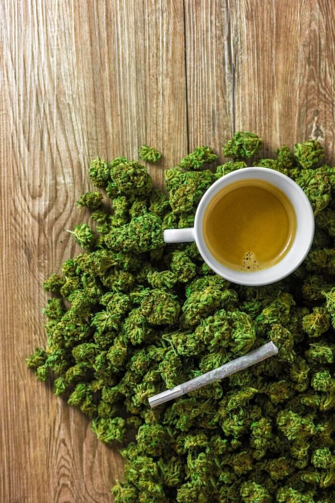 CBD og ginseng for fokus.