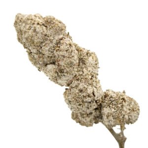 THCa Topskud Polar Bear 25% – CBDanmark