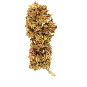CBD Topskud White Widow 16% – CBDanmark